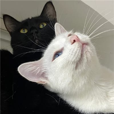 วิน เมธวิน avatar